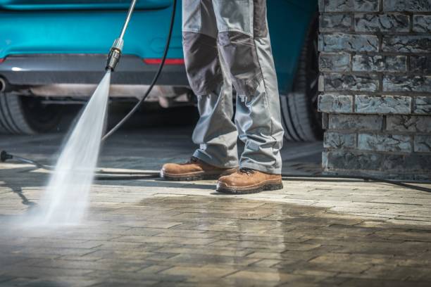 Best Pre-Holiday Cleaning  in Haskell, AR